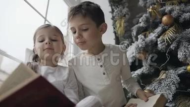近点，<strong>兄妹</strong>俩坐在圣诞树附近一扇大窗户的窗台上看书